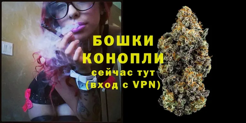 Бошки Шишки THC 21%  Покачи 